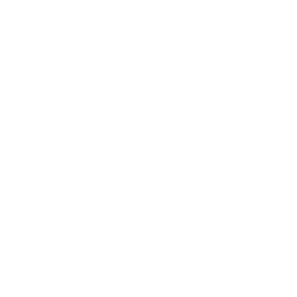 Boost icon