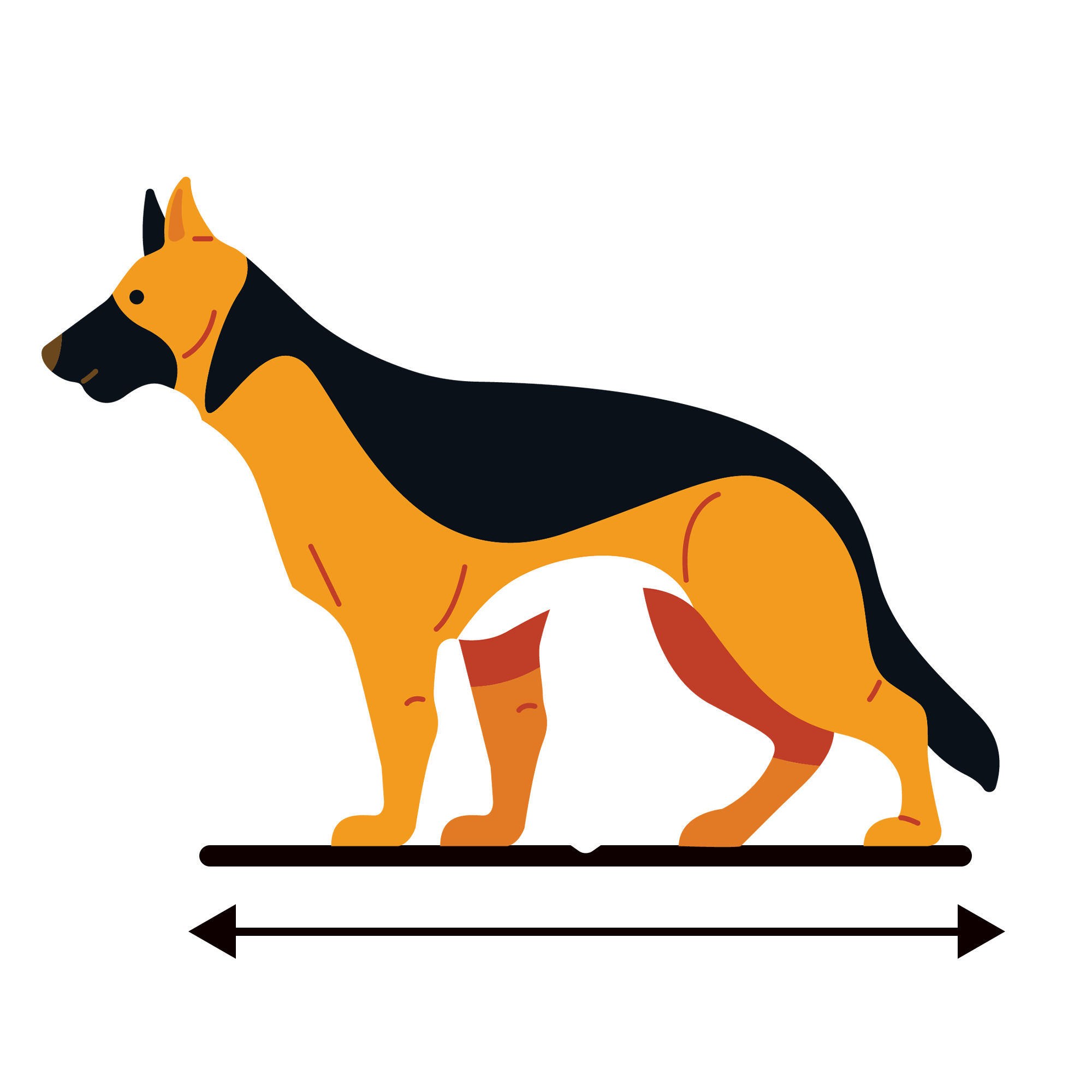 Large dog on CELLER8 large dog mat diagram
