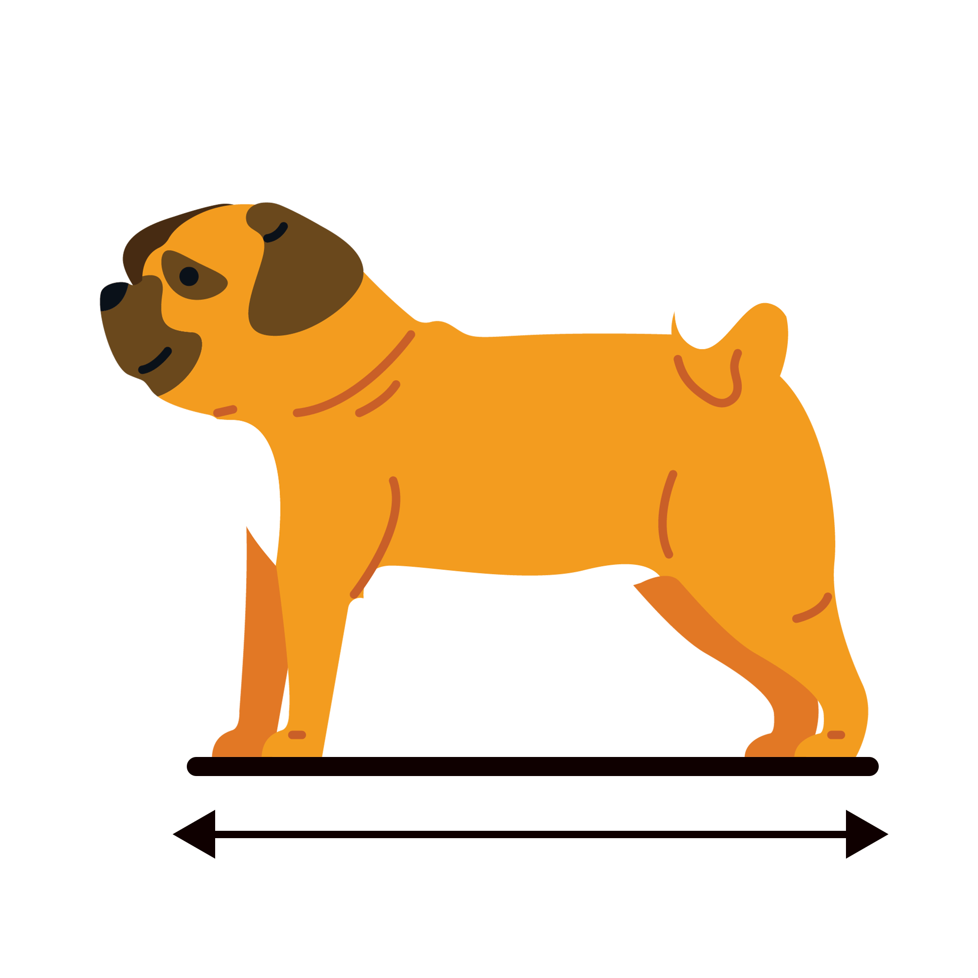 Small dog on CELLER8 small dog mat diagram