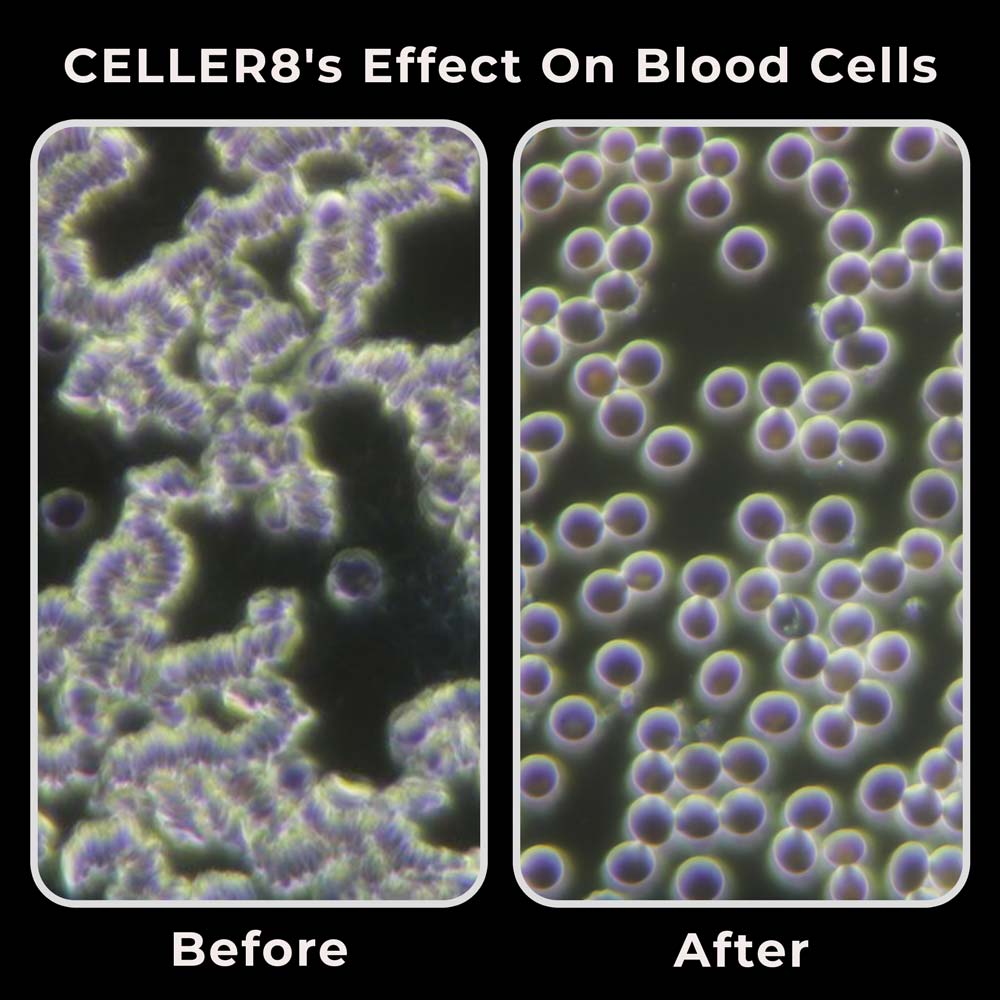 Blood cells before and after using CELLER8