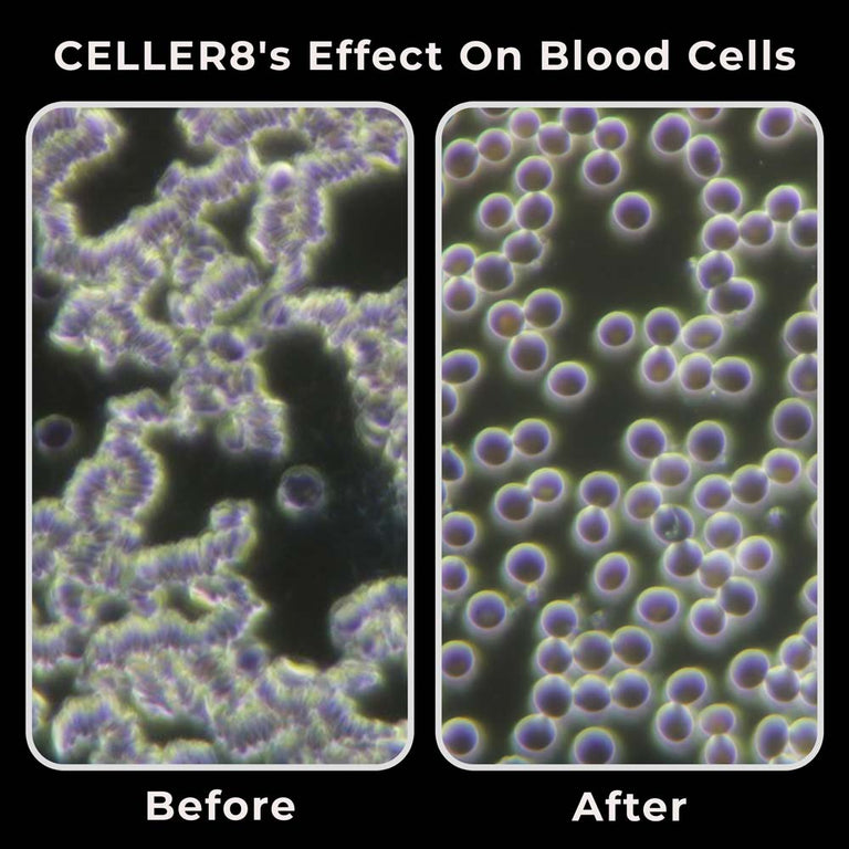 Blood cells before and after using CELLER8