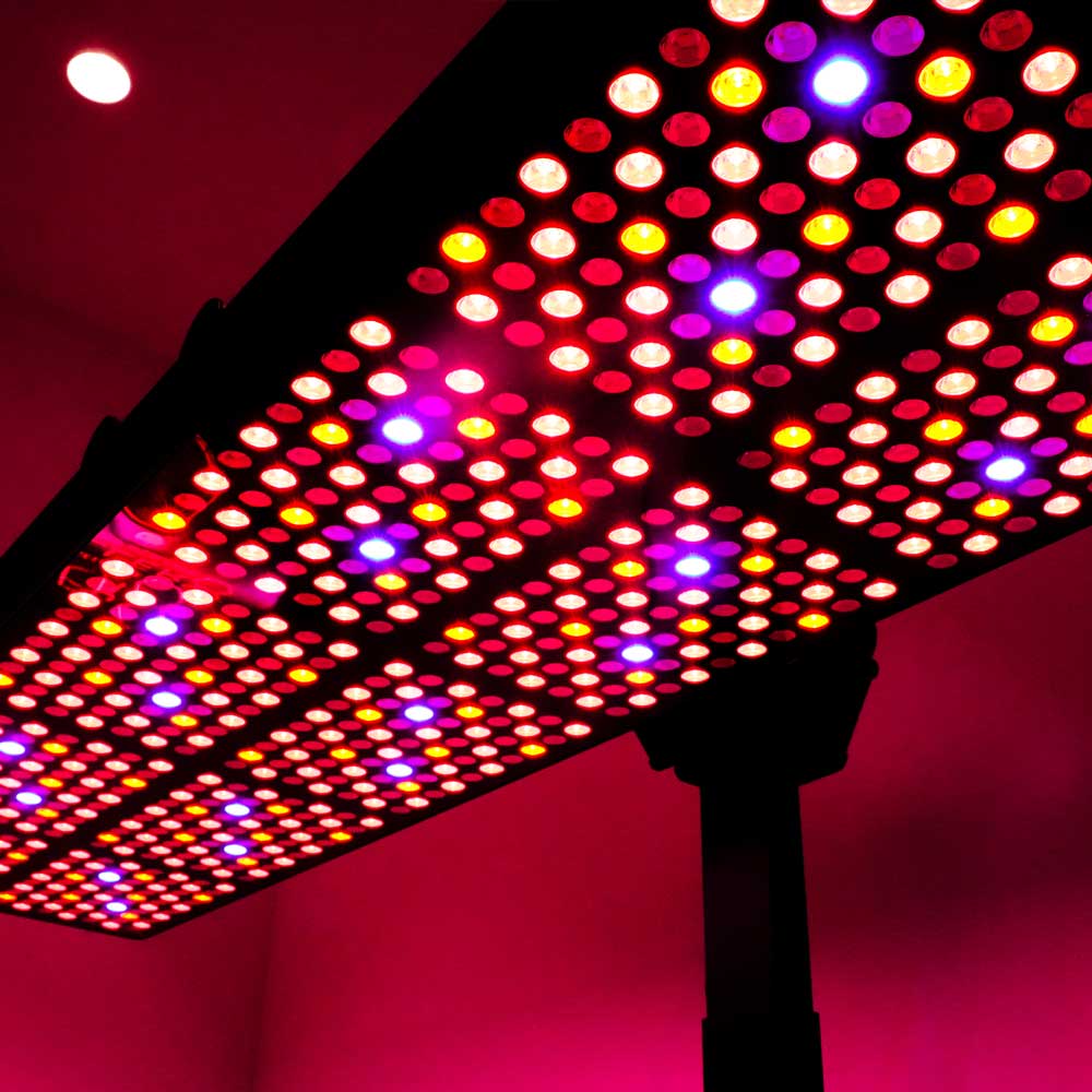 CELLER8 red light underneath view