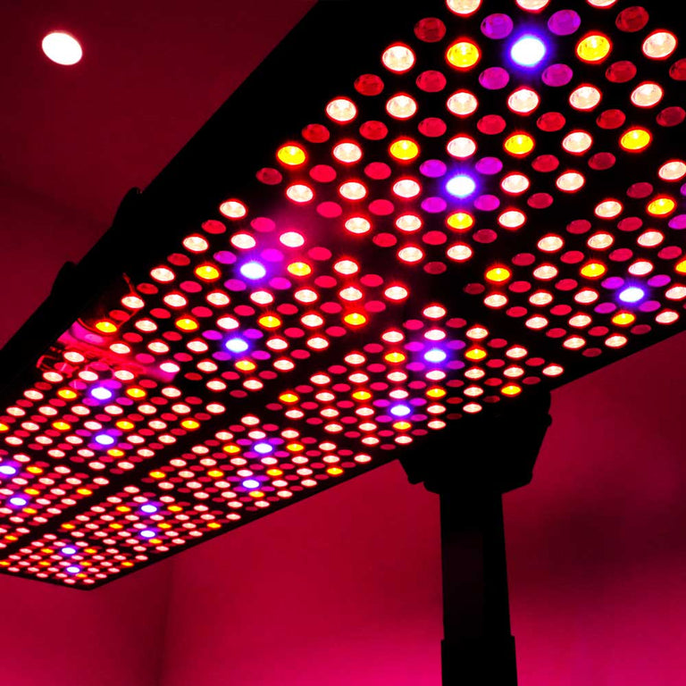 CELLER8 red light underneath view