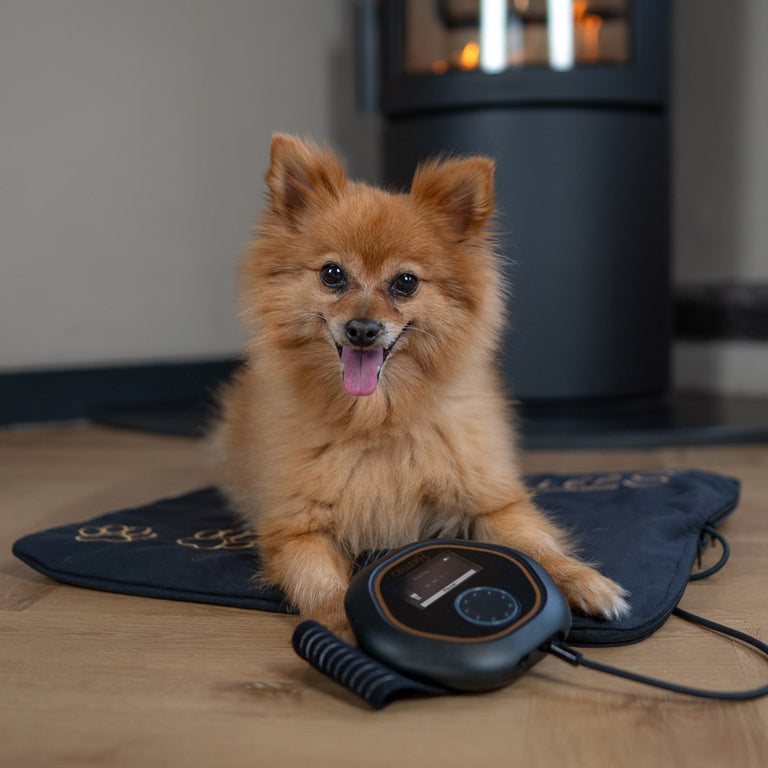 Dog laying on CELLER8 pet mat