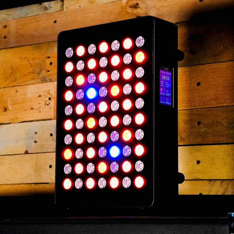Desktop red light panel on shelf