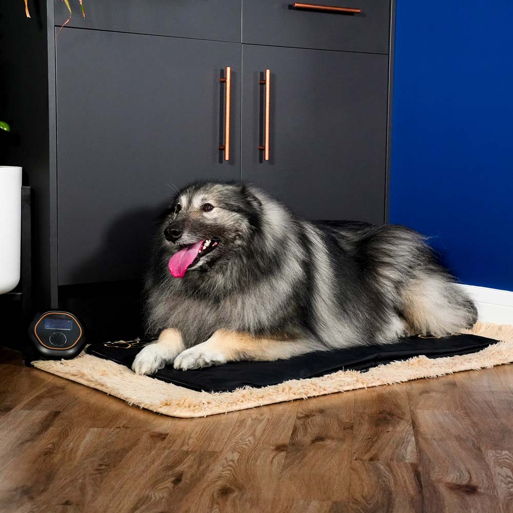 Dog laying on large CELLER8 pet mat