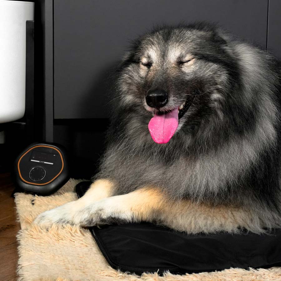 Dog laying on CELLER8 mat with happy face