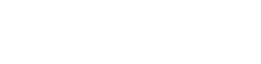 The London Standard logo