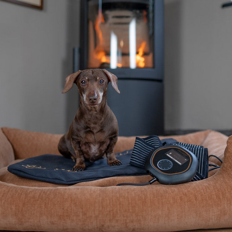 Sausage dog sitting on CELLER8 small pet mat